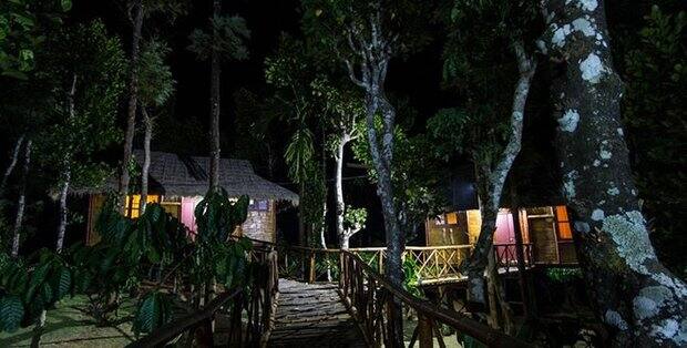 Treasuretrove Homestay, Wayanad 3